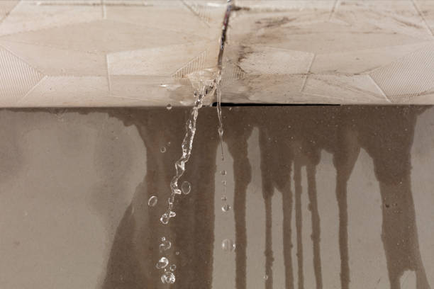 Professional Water Damage Repair technician working in Woodinville, WA
